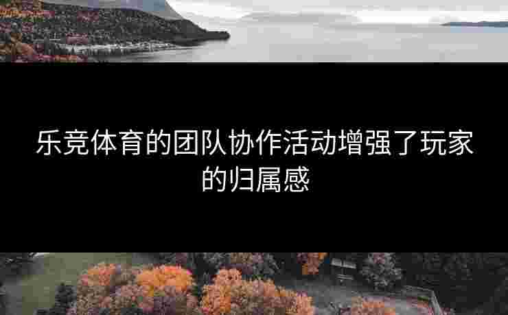 乐竞体育的团队协作活动增强了玩家的归属感